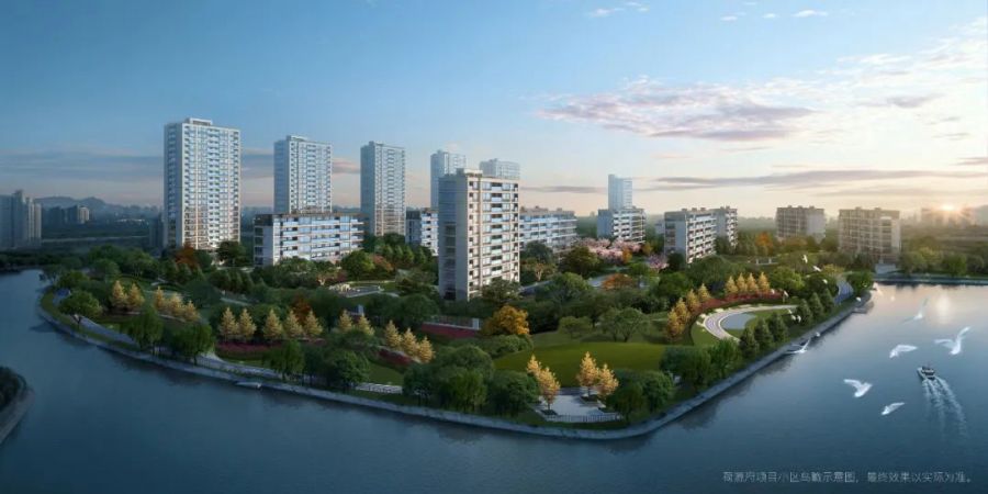 1632912602792485BrsX.jpg 650.jpg