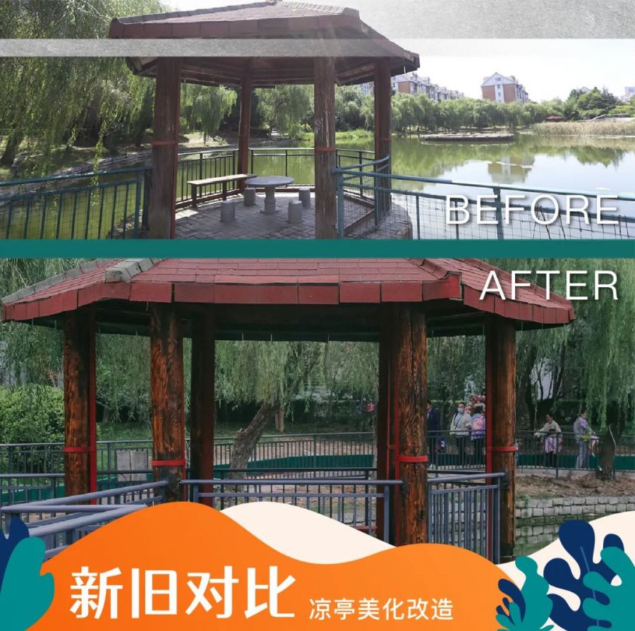 16353906949522876cp7.jpg 645.jpg