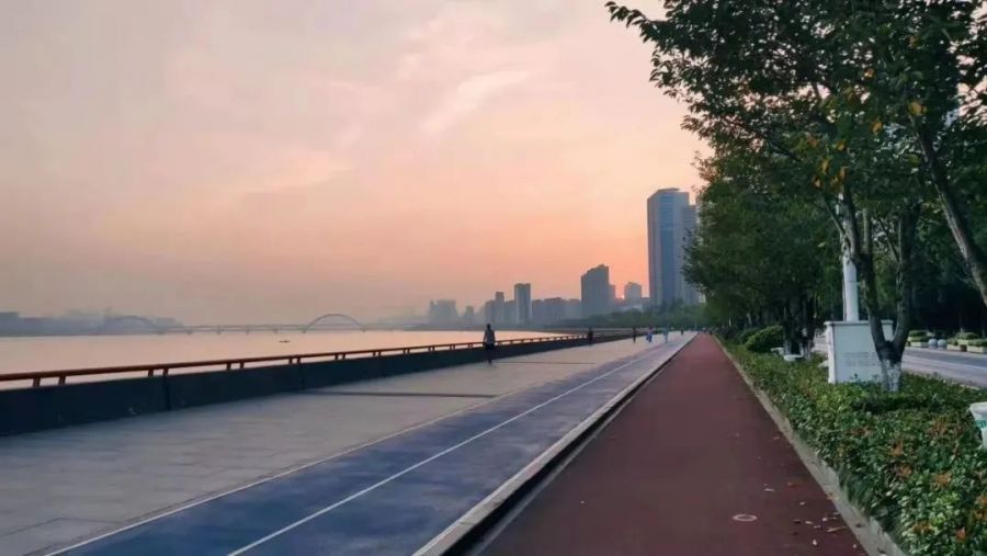 1635400529253544a5IV.jpg 642.jpg